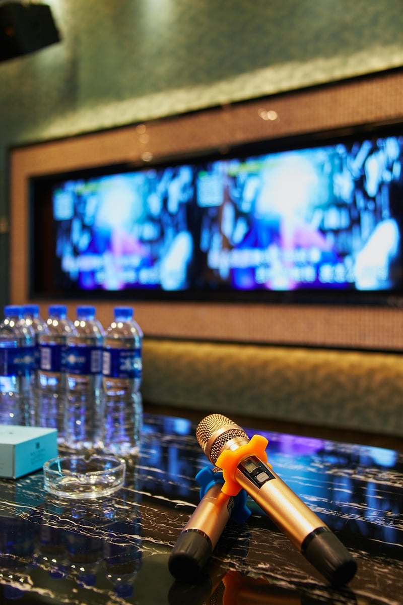 Microphone for press conferences